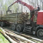 Kastanienstämme – 50 Kubikmeter LKW-Ladung – Bild 2Kastanienstämme – 50 Kubikmeter LKW-Ladung – Bild 2 Kastanienstämme – 50 Kubikmeter LKW-LadungKastanienstämme – 50 Kubikmeter LKW-Ladung – Bild 2  Kastanienstämme – 50 Kubikmeter LKW-Ladung