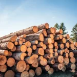 Menge	 Ganze LKW-Ladung, Halbe LKW-Ladung  Stammholz Nadelholz – LKW-Ladung flexibel